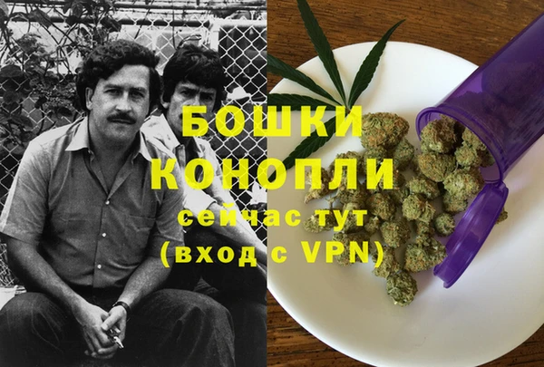 PSILOCYBIN Абаза