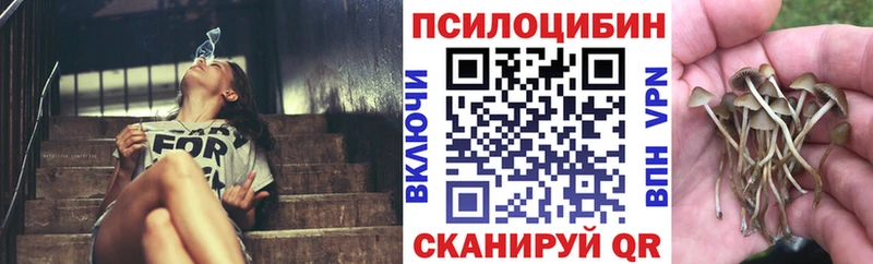 Псилоцибиновые грибы GOLDEN TEACHER Тюмень