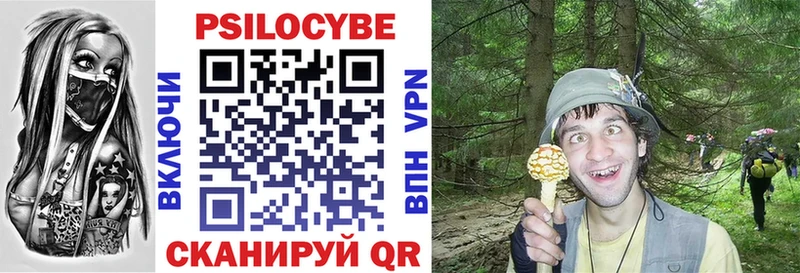 KRAKEN как войти Тюмень Псилоцибиновые грибы прущие грибы